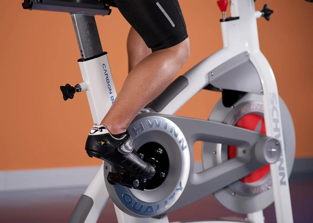 body+soul & hairfree body+soul & hairfree